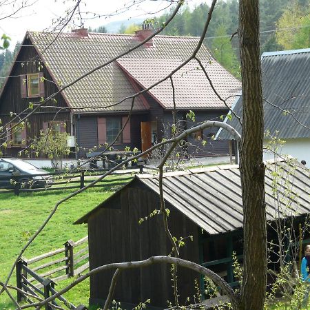 Salamandra Apartment Krempna Екстериор снимка