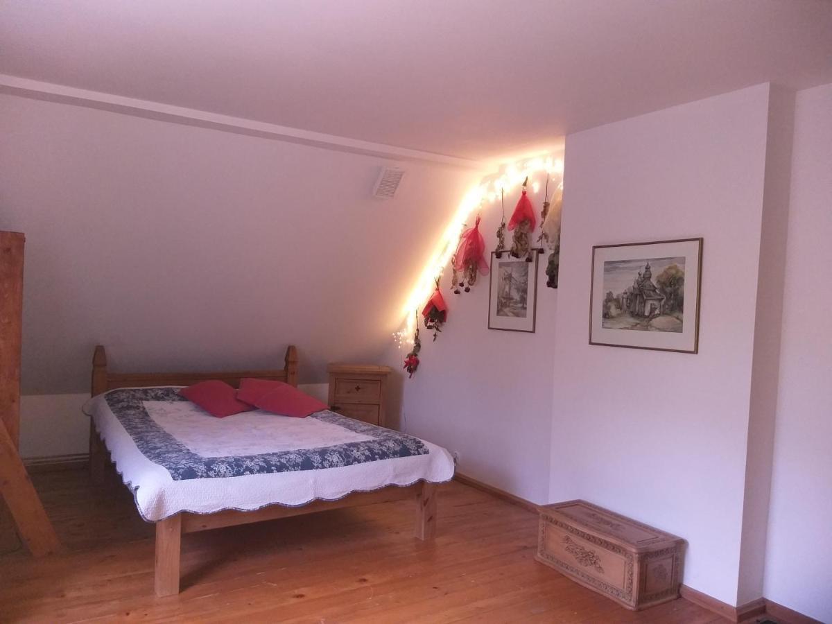 Salamandra Apartment Krempna Екстериор снимка