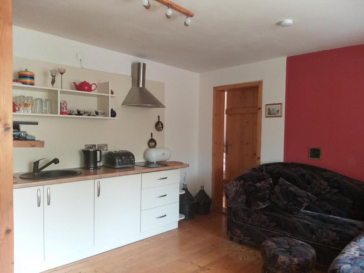 Salamandra Apartment Krempna Екстериор снимка