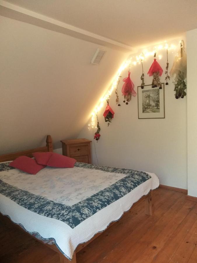 Salamandra Apartment Krempna Екстериор снимка