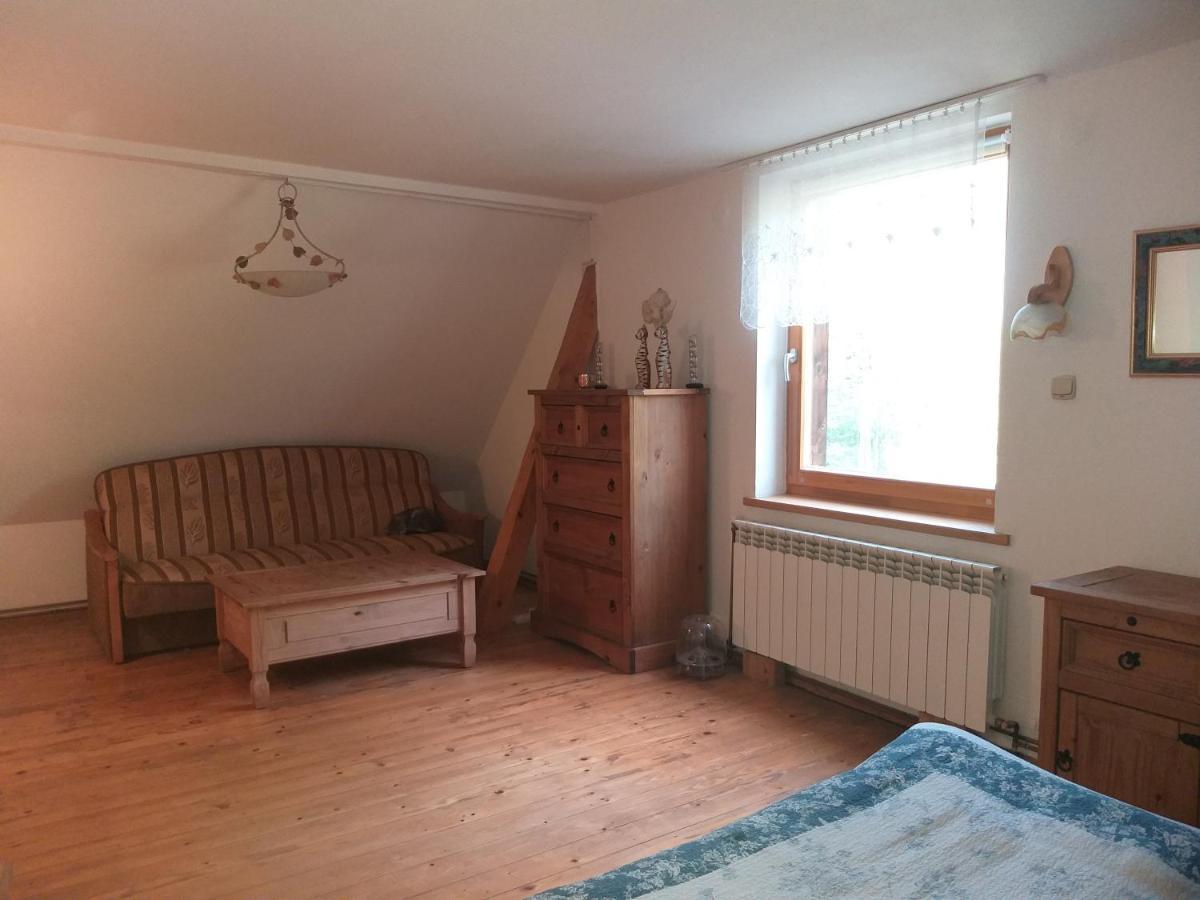 Salamandra Apartment Krempna Екстериор снимка