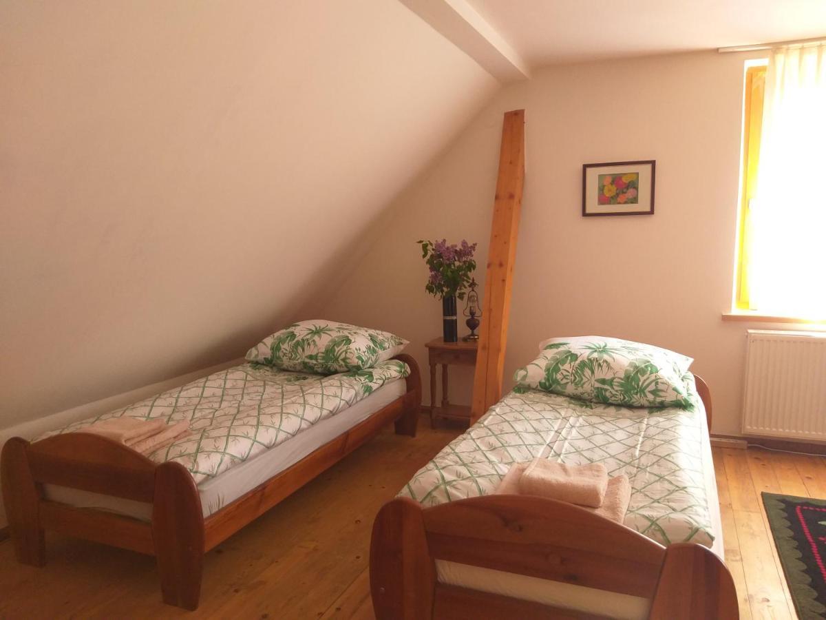 Salamandra Apartment Krempna Екстериор снимка