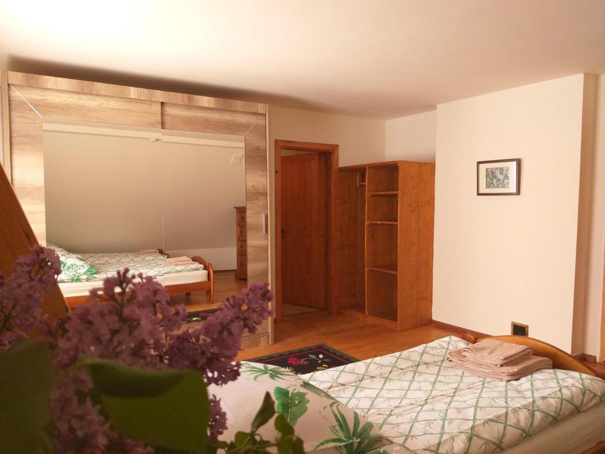 Salamandra Apartment Krempna Екстериор снимка