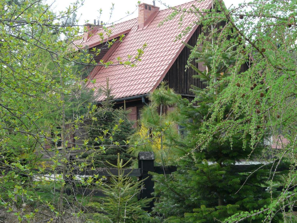 Salamandra Apartment Krempna Екстериор снимка